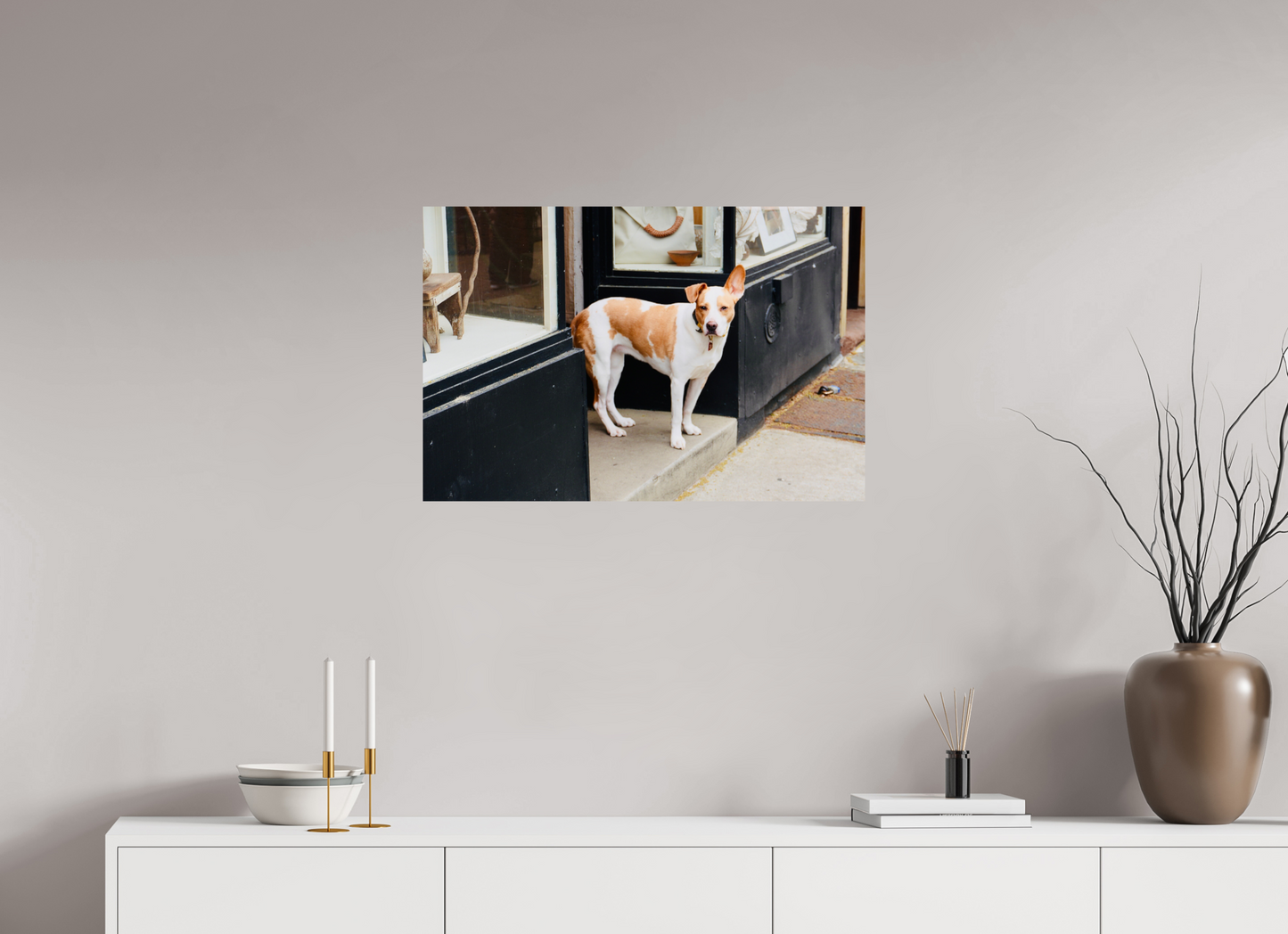 BKLYN Shop Dog - Photo Print On Fuji Crystal DP II