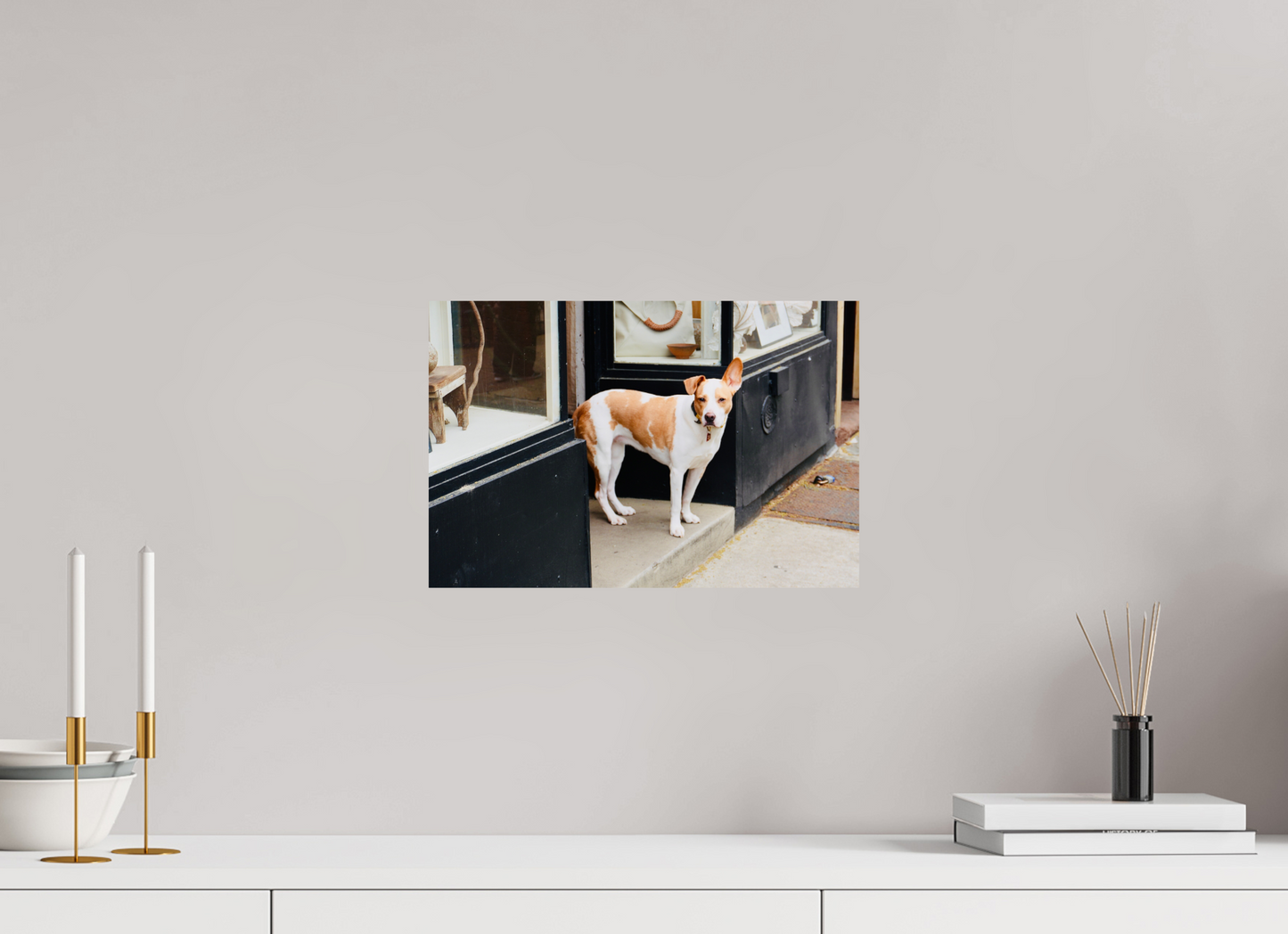 BKLYN Shop Dog - Photo Print On Fuji Crystal DP II