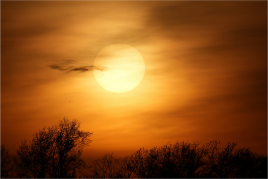 Tequila Sunset - Photo Print On Fuji Crystal DP II