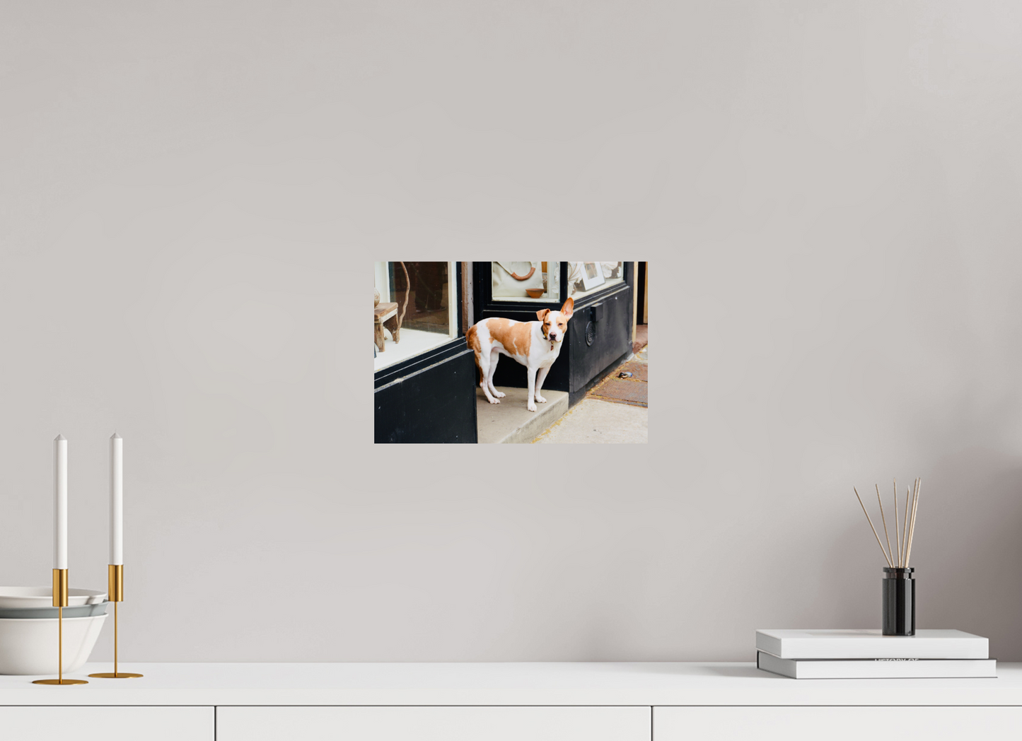 BKLYN Shop Dog - Photo Print On Fuji Crystal DP II